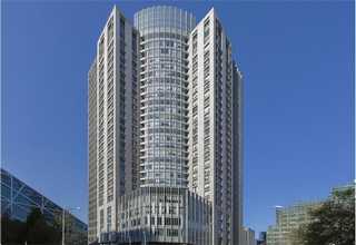 花都区树苗工程